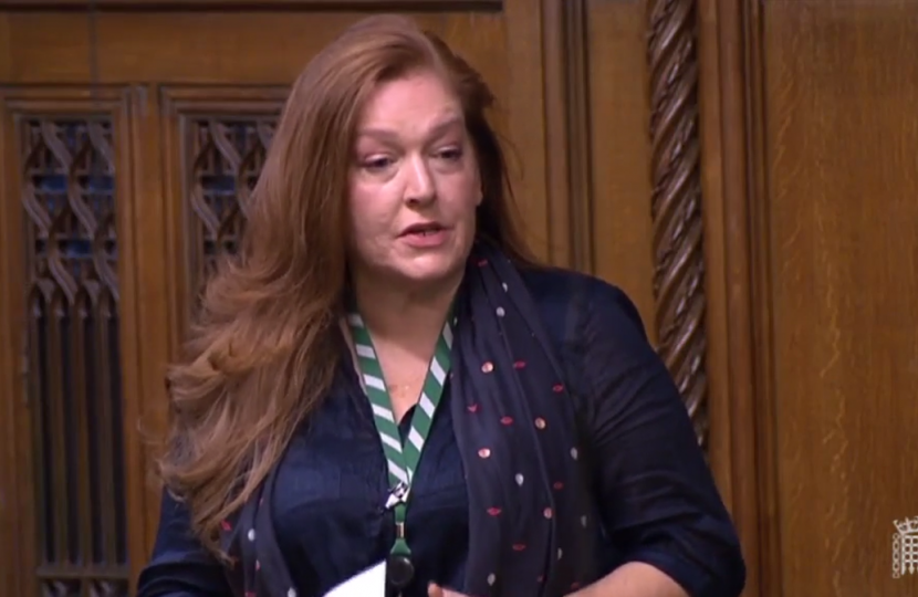 Jane speaking in Parliament