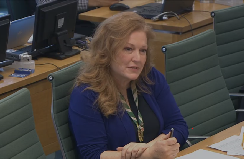 Jane questioning Secretary of State for Culture, Media and Sport on the continued use of VAR